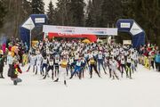 Ela Viru maratonile kaasa Postimehe otsepildi vahendusel