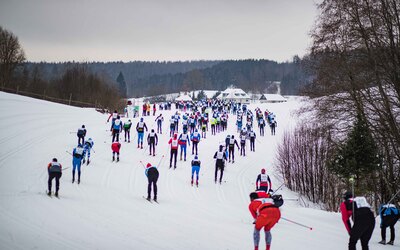 7. Tartu Maraton. Autor: Kiur Kaasik.