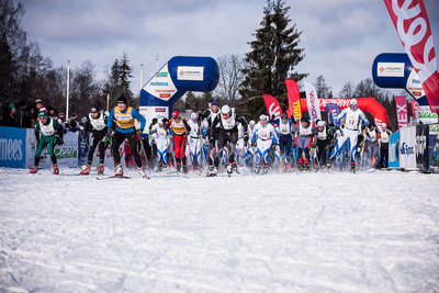 16. Tallinna Suusamaraton (Foto: Tarmo Haud)