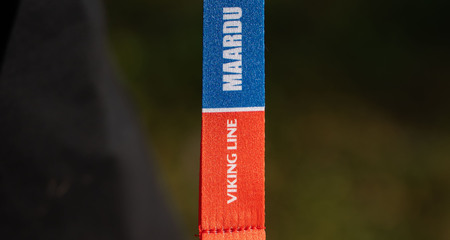 Vaata Ville Viking lastejooksu medalit!