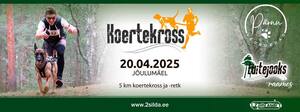 Luitejooks
