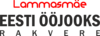 Lammasmäe Eesti Ööjooks - Rakvere